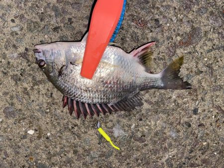 雨の中でも釣り