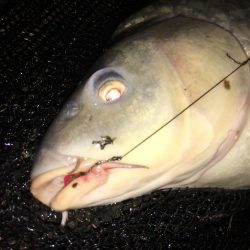台風後のヘドロ濁りで