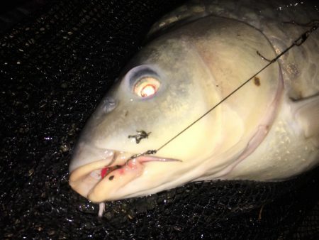 台風後のヘドロ濁りで