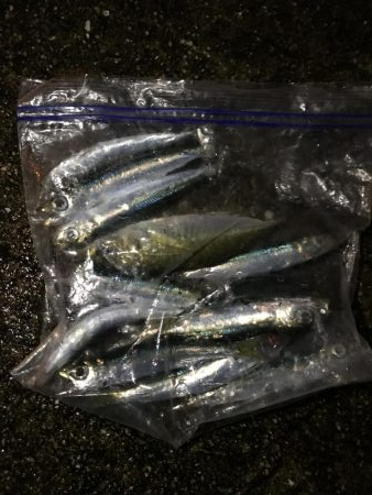 久しぶりの空港