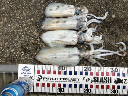 夜中の砂場遊び