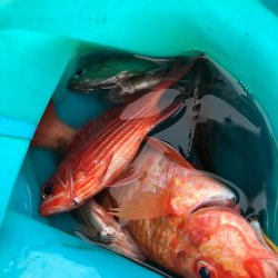 さすが室戸岬！