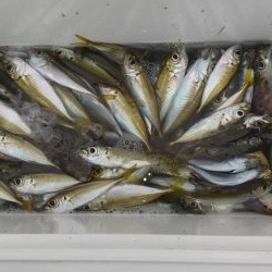 ファミリーフィッシング