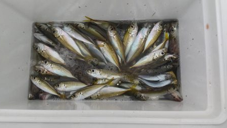 ファミリーフィッシング