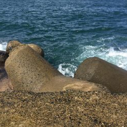 ライトショアジギ、2種混合