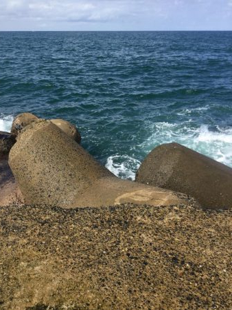 ライトショアジギ、2種混合