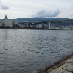 南芦屋浜 今期初サヨリ