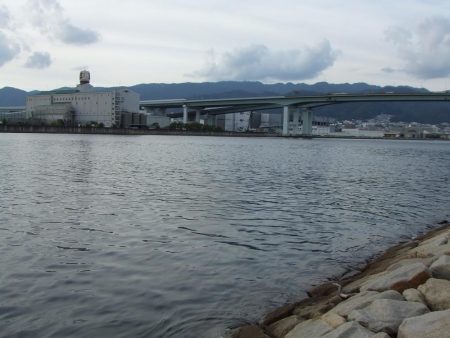 南芦屋浜 今期初サヨリ