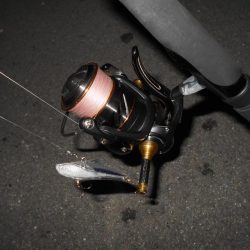 取りこぼしばっかり…。