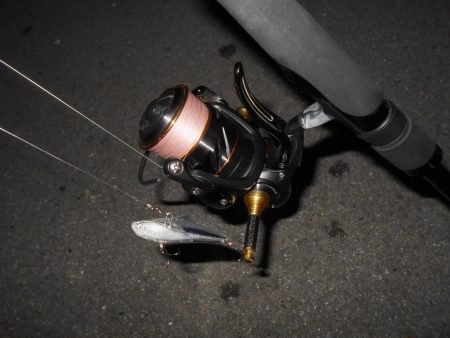 取りこぼしばっかり…。