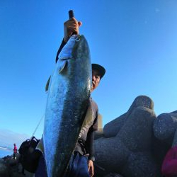 トップゲーム!!