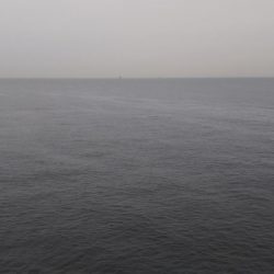 サゴシ狙いが⁉