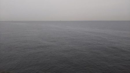 サゴシ狙いが⁉