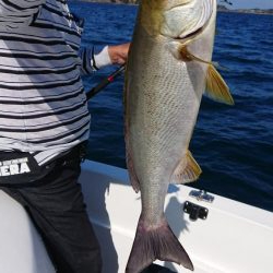 キャスティング・ジギング