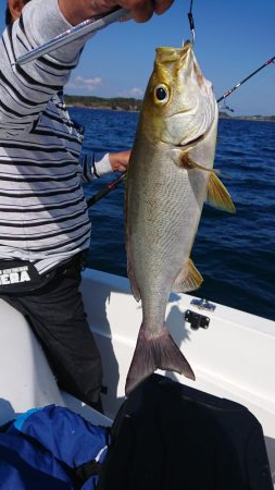 キャスティング・ジギング