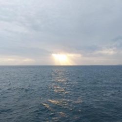 ようやく初タチ