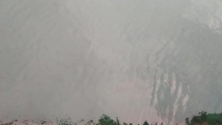 アジングでカマス