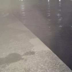 ぶらシーバス!!