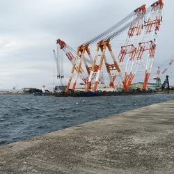 強風の播磨新島釣行