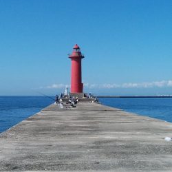 今日も厳しい釣行でした
