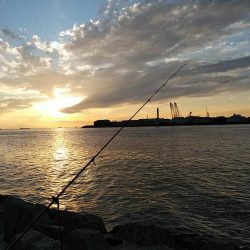 東二見西水路へキス調査