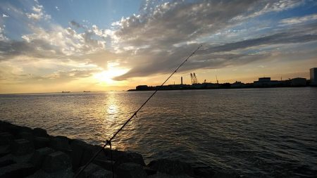 東二見西水路へキス調査