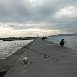 東二見白灯台波止へキス調査