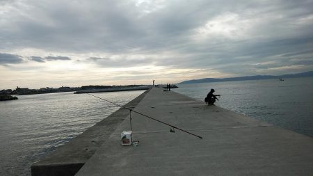 東二見白灯台波止へキス調査