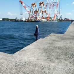 播磨新島のキスが復活