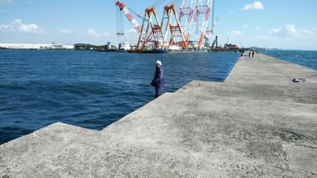 播磨新島のキスが復活