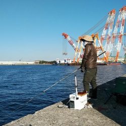 播磨新島のキス釣査