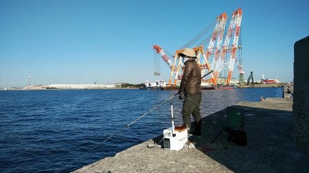 播磨新島のキス釣査