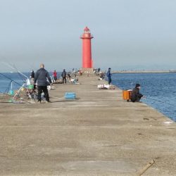 今日も播磨新島のキス釣査