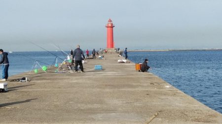 今日も播磨新島のキス釣査