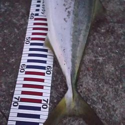 やったー！ルアーで初めて釣れました！