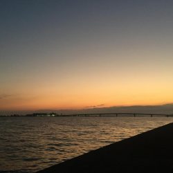 ポーアイ沖タチウオ