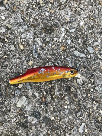 10月2日神戸青物ヘビーベビーミノーでメジロ