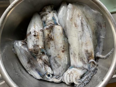 大荒れエギング