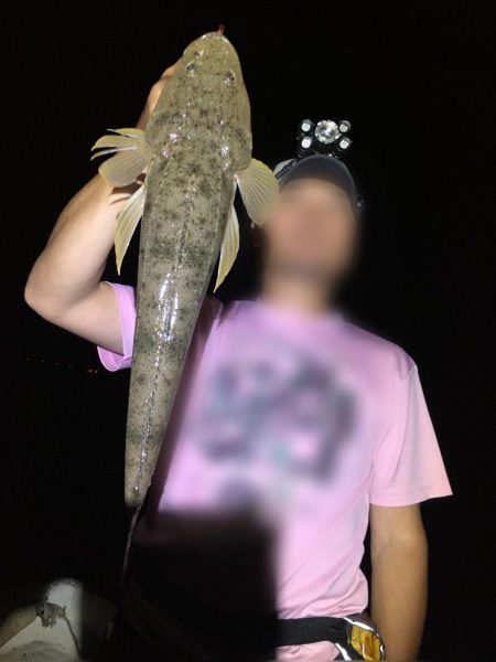 シーバスandマゴチ祭り