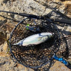 短時間　ショアジギ