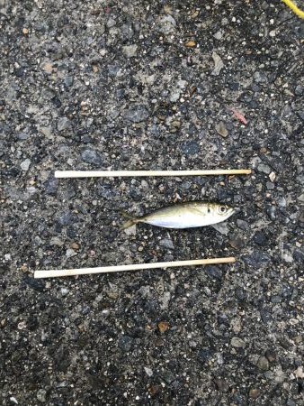 おじゃま虫　大集合