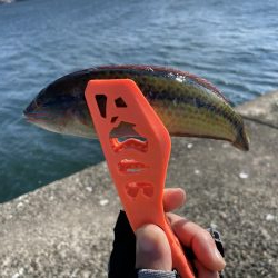 爆風ショアジギング+α