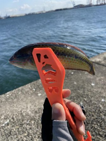 爆風ショアジギング+α