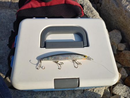 フラットフィッシュゲーム