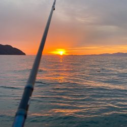 ラストエギ・・・