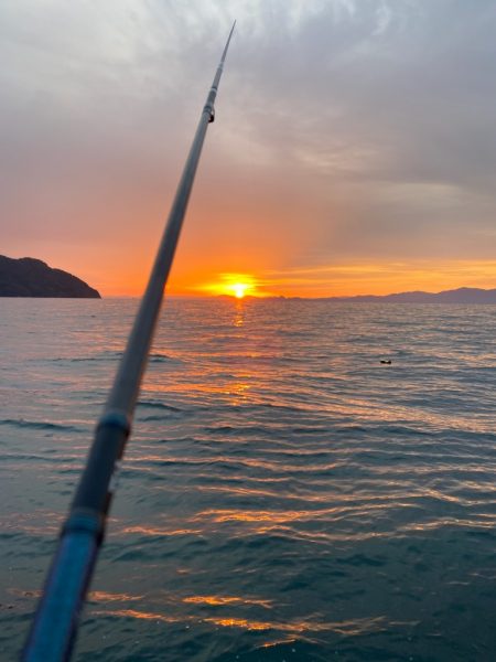 ラストエギ・・・