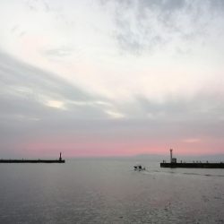 釣ブームらしいですね