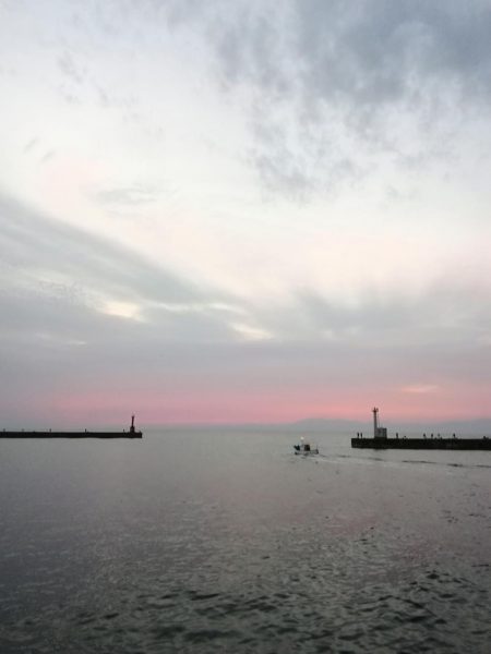 釣ブームらしいですね