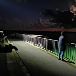 常備灯の港でナイター