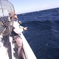 遊漁船SOUTH 10/6釣果